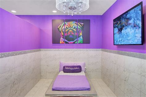 lv dog resort